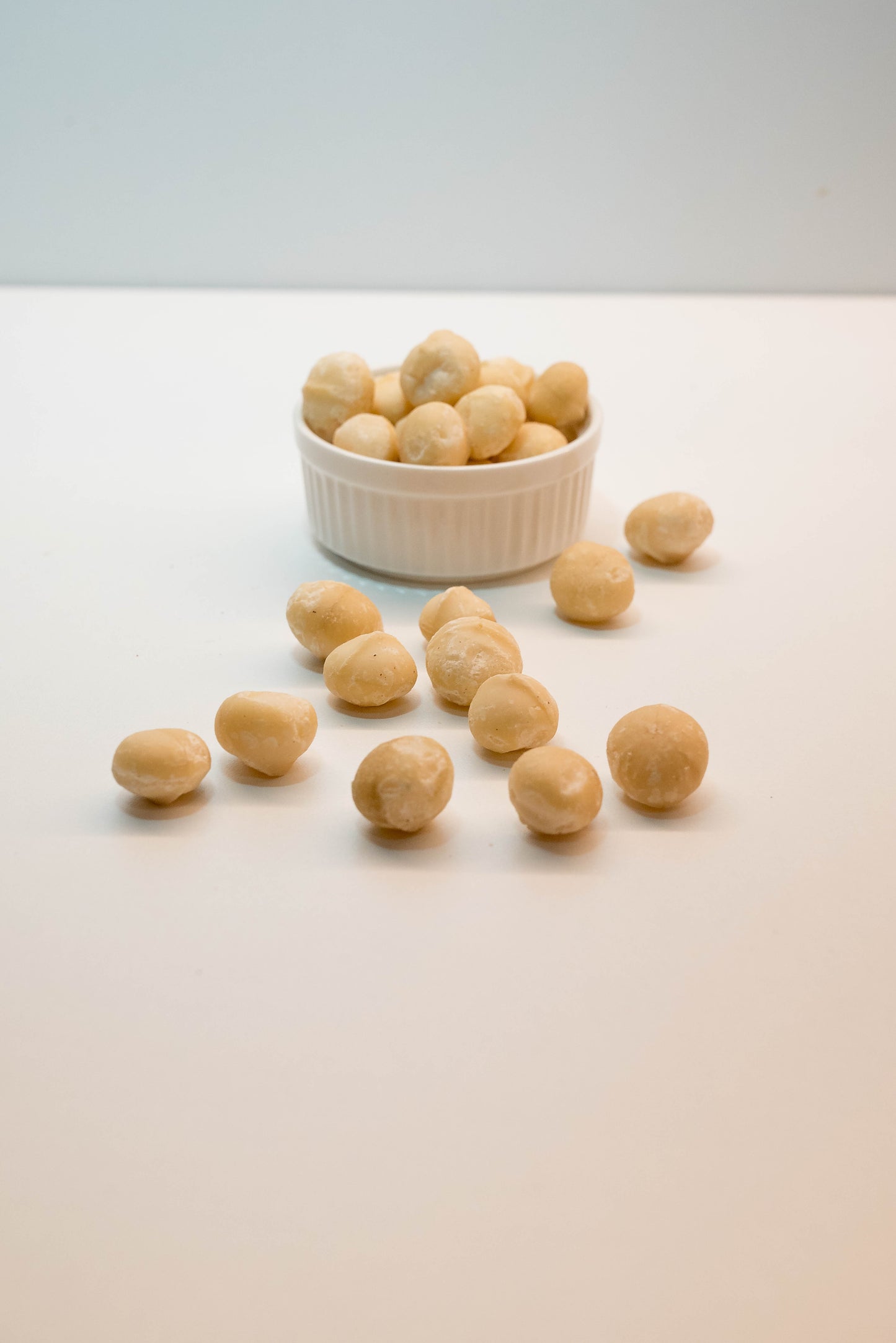 Μακαντέμια | Macadamia