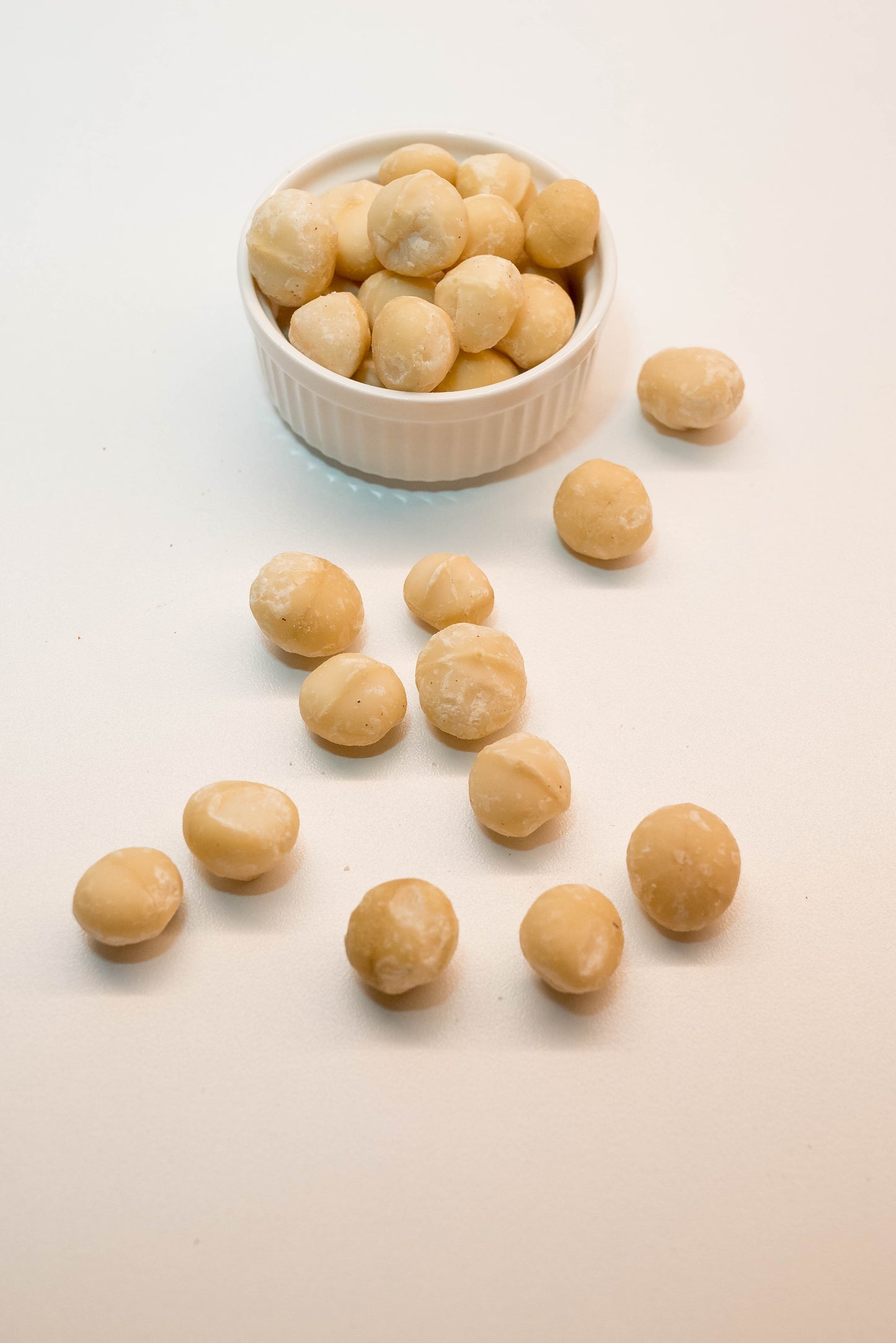 Μακαντέμια | Macadamia