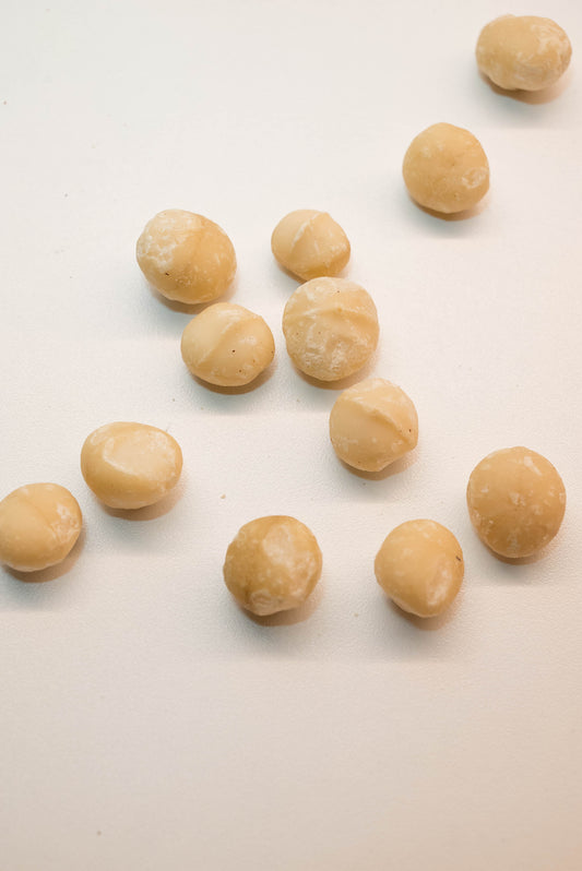 Μακαντέμια | Macadamia