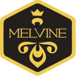 Hexagonal logo with 'Melvine' text and decorative elements on a white background